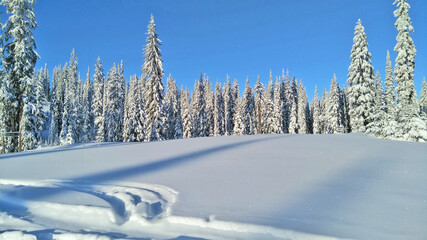 Alpine Heaven 191205