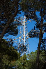 Electric tower between trees