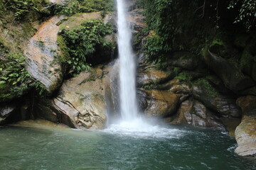 Naklejka premium waterfall in the forest