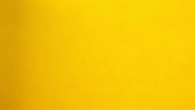 Black cherries fly on a yellow background closeup in slow motion