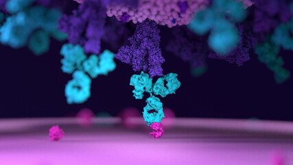 Antibodies work to neutralize SARS-CoV-2 by binding to the S protein and blocking entry (ACE2)  into a host cells
