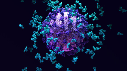 Fototapeta na wymiar Antibodies work to neutralize SARS-CoV-2 by binding to the S protein and blocking entry (ACE2)  into a host cells