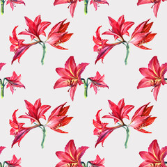 Seamless pattern watercolor summer bouquet flower red lily and bud on grey background. Hand-drawn summer botanical illustration for card, celebration, wedding, birthday, wallpaper, wrapping, textile