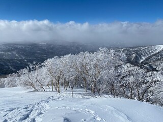 snow rime 