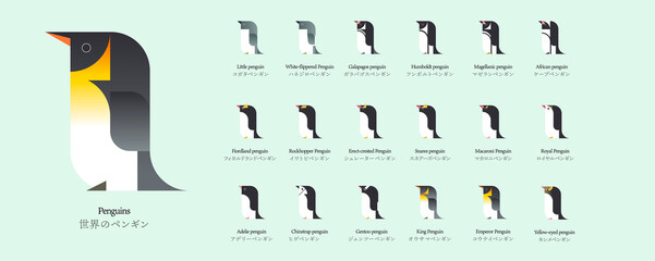 世界のペンギンの種類のベクターイラストアイコン © interemit