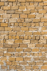 Shell brick wall texture stone background, building limestone facade