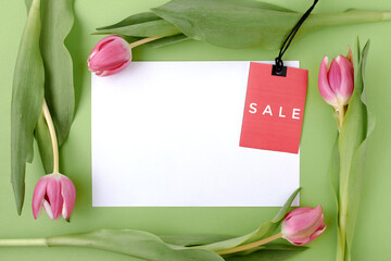 spring flat lay with sale label isolated on green background
