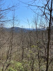Obraz premium Mountain Overlook - Douthat State Park, VA