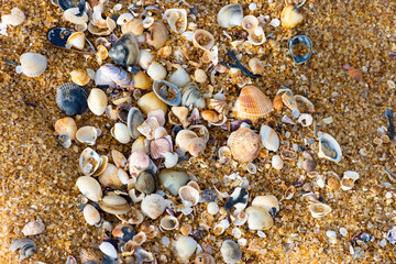 pebbles on the beach