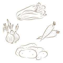 Line art Vegetables. Vector set of vegetables: zucchini, onions, carrots, potatoes
