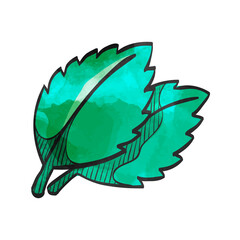 Watercolor style icon Basil leaf