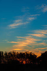 Sunset