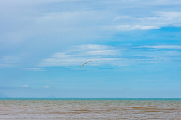 Landscape Beach Maratizes ES Brasil Marata