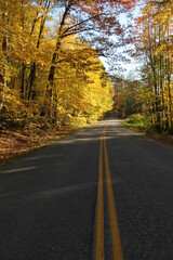 Colorful Autumn Road through the Forest