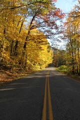 Colorful Autumn Road through the Forest
