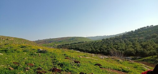 Naklejka premium autumn in the mountains