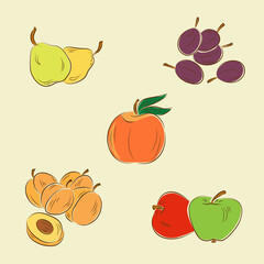 Set of fruits: pears, plums, peach, apricots, apples
