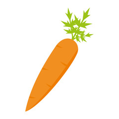 carrot icon vector illustration sign