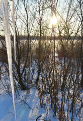 Fototapeta premium Icicle against the background of the snow-covered Irtysh river