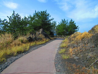 桜島遊歩道