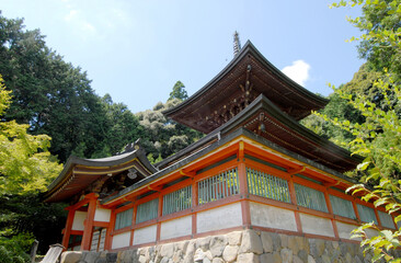 Fototapeta premium 神護寺 多宝塔 京都市高雄