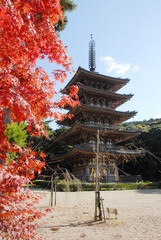 Obraz premium 秋の醍醐寺 五重塔 京都市伏見区醍醐