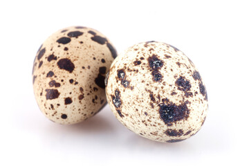 Fototapeta premium Quail egg