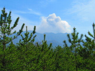 Obraz premium 桜島（烏島展望所）