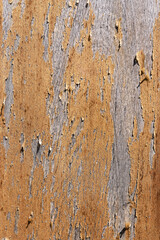 Surface of the old planks with texture.