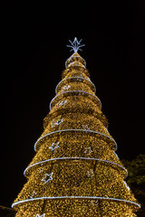 golden christmas tree on black