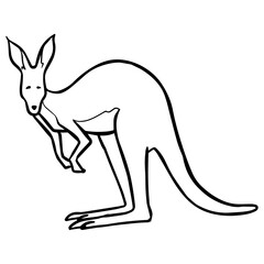 Hand drawn standing kangaroo.