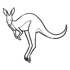 Hand drawn jumping kangaroo.