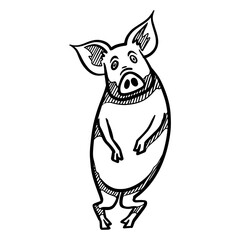 Hand drawing standing pig.