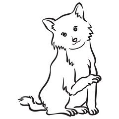 Hand drawn domestic cat. Animal color illustration.