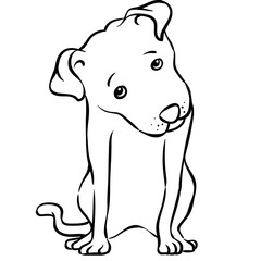 Hand drawn dog. Tilting head. Animal color illustration.