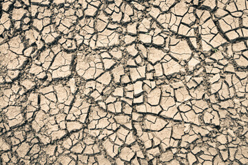 Landscape ground cracks drought crisis environment background.