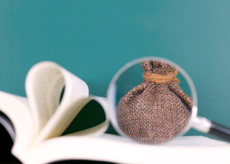 Money bags in books and magnifiers