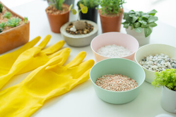 Houseplant and gardening equipments.