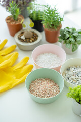 Houseplant and gardening equipments.