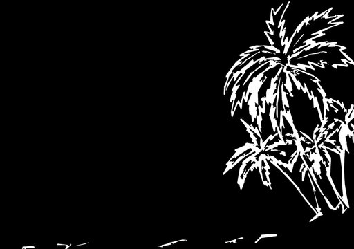 Black background with painted white palm trees