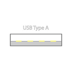 USB connector in a simple design with gold contacts. View in the plane section. Flat vector illustration