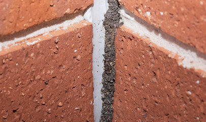 Termite leads on the external wall of a brick home