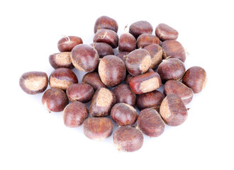 Chinese chestnut