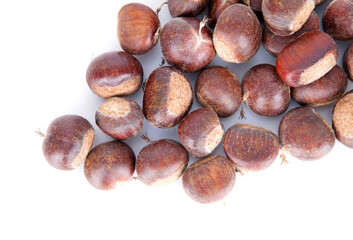 Chinese chestnut