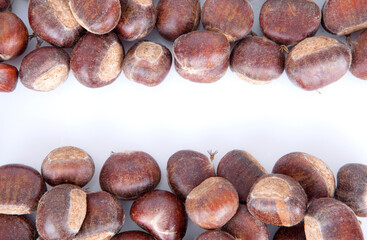 Fresh chestnut