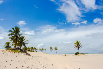 Mague seco, Bahia © Fabricio Silva