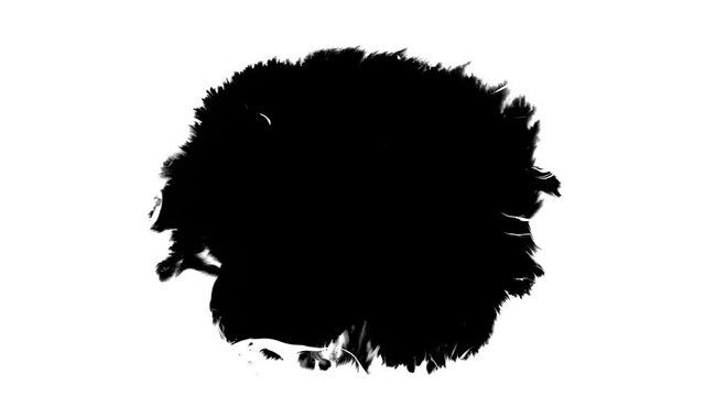 Abstract ink splatter transition in black and white seamless loop. Turbulent painting blot spreading from the center in this contemporary reveal 3D animation. 4K background, VFX overlay, alpha matte
