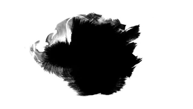 Abstract ink splatter transition in black and white seamless loop. Turbulent painting blot spreading from the center in this contemporary reveal 3D animation. 4K background, VFX overlay, alpha matte
