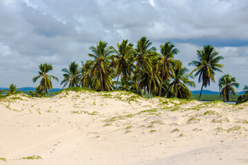 Mague seco, Bahia © Fabricio Silva