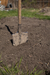 Vintage  of old shovel on a background of earth and fresh grass. Home gardening. Rural garden.